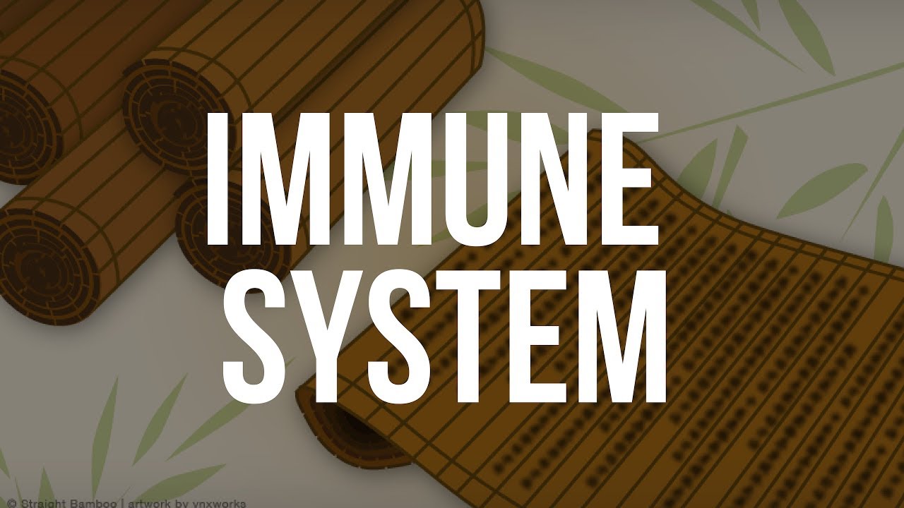 Immune System | NCCAOM Board Exam