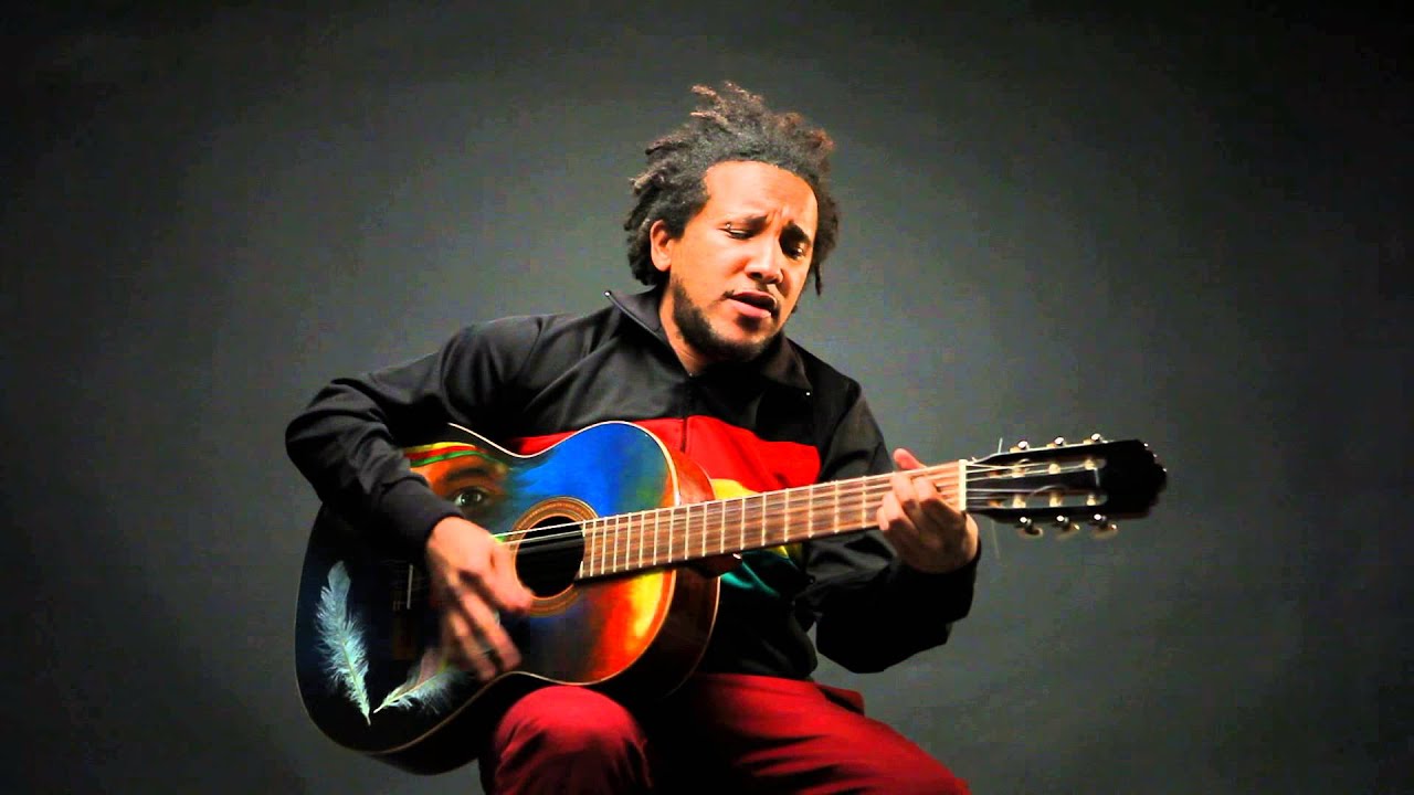 Stig van Eijk - Living My Life Without you - Acoustic version 2013