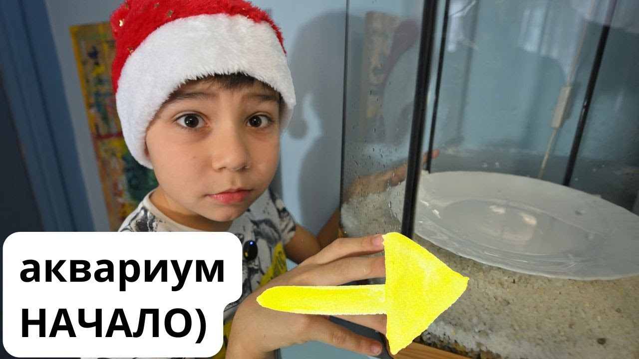Запустить Аквариум и Выжить | Семейный блог