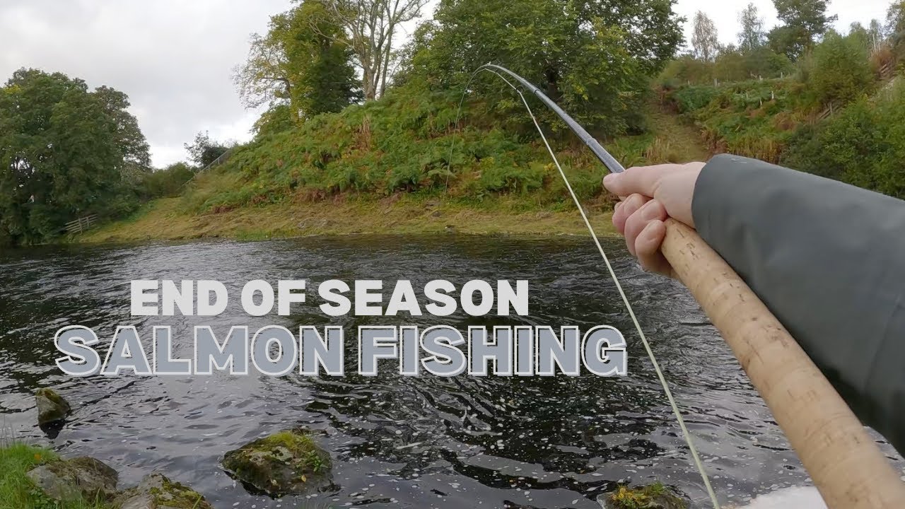End Of Season Salmon Fishing On A Small Scottish River