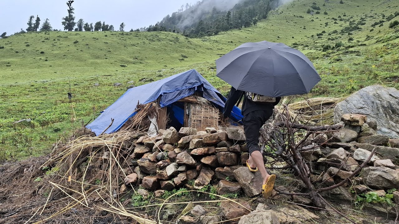 Himalayan Gothalo life | Nepali gothalo  lifestory | Rural Nepal |