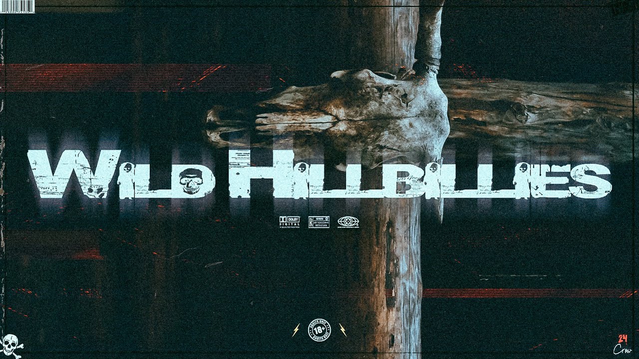 WILD HILLBILLIES | trap guitar type beat free | metalcore x mgk x bmth instrumental 2022