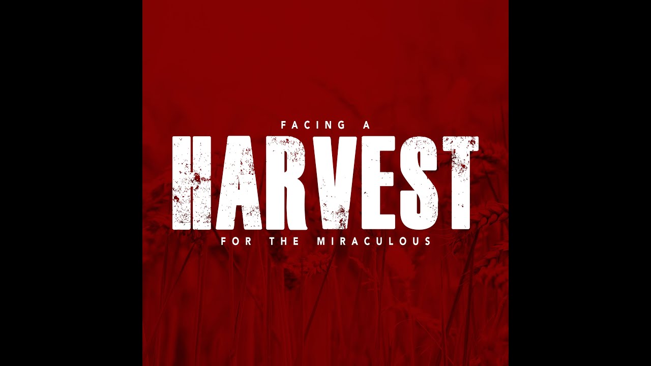 Facing a Harvest for the Miraculous