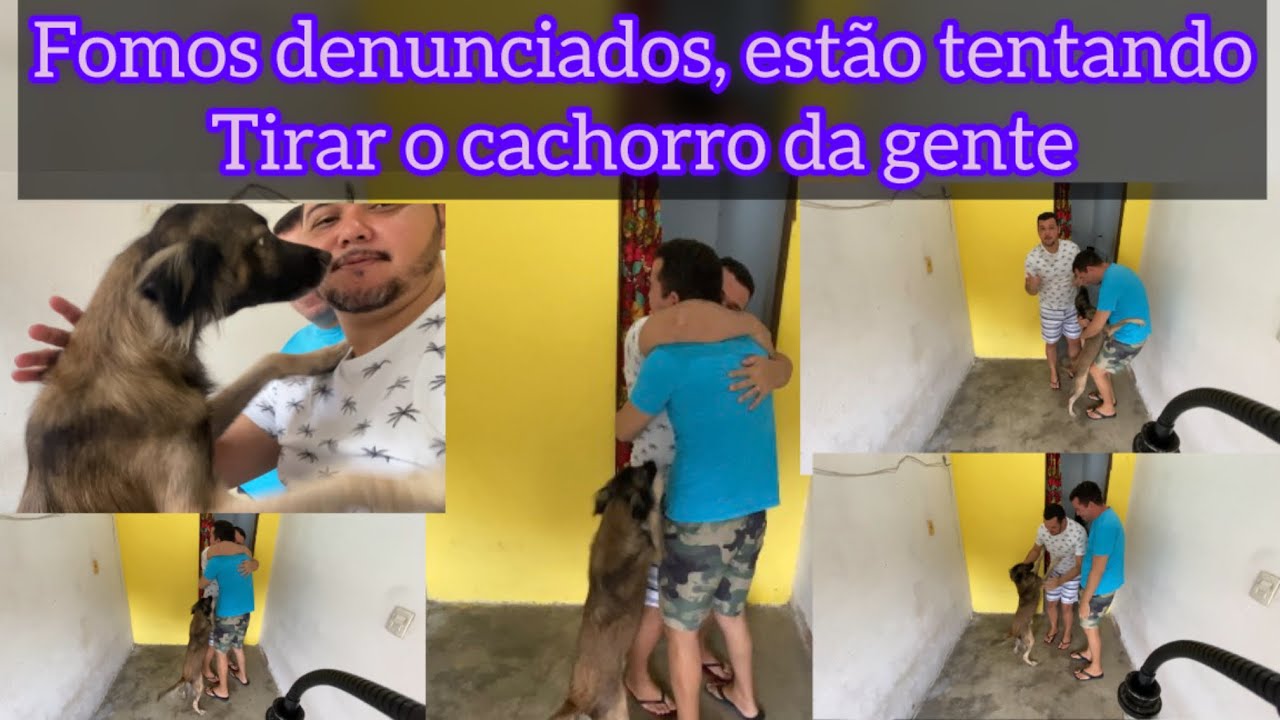 Fomos denunciados, estão tentando tirar o cachorro da gente 😭￼