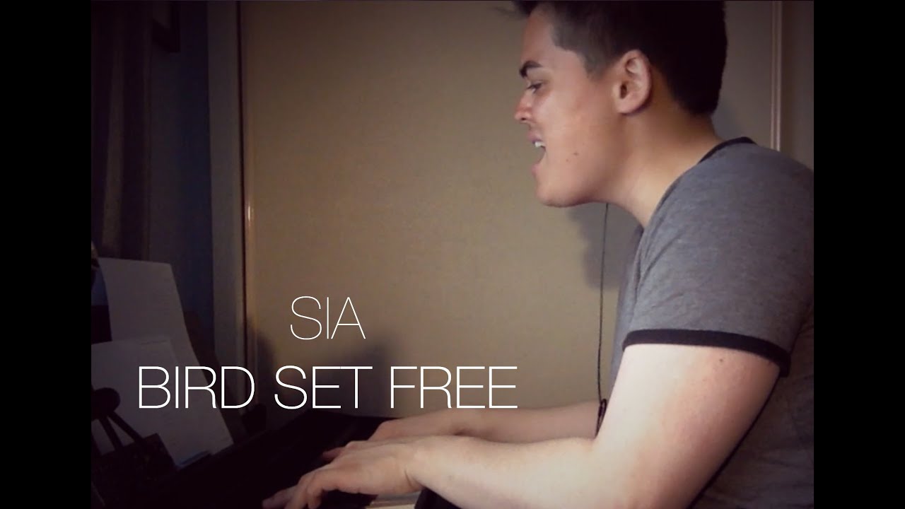 Sia - Bird Set Free (Cover)