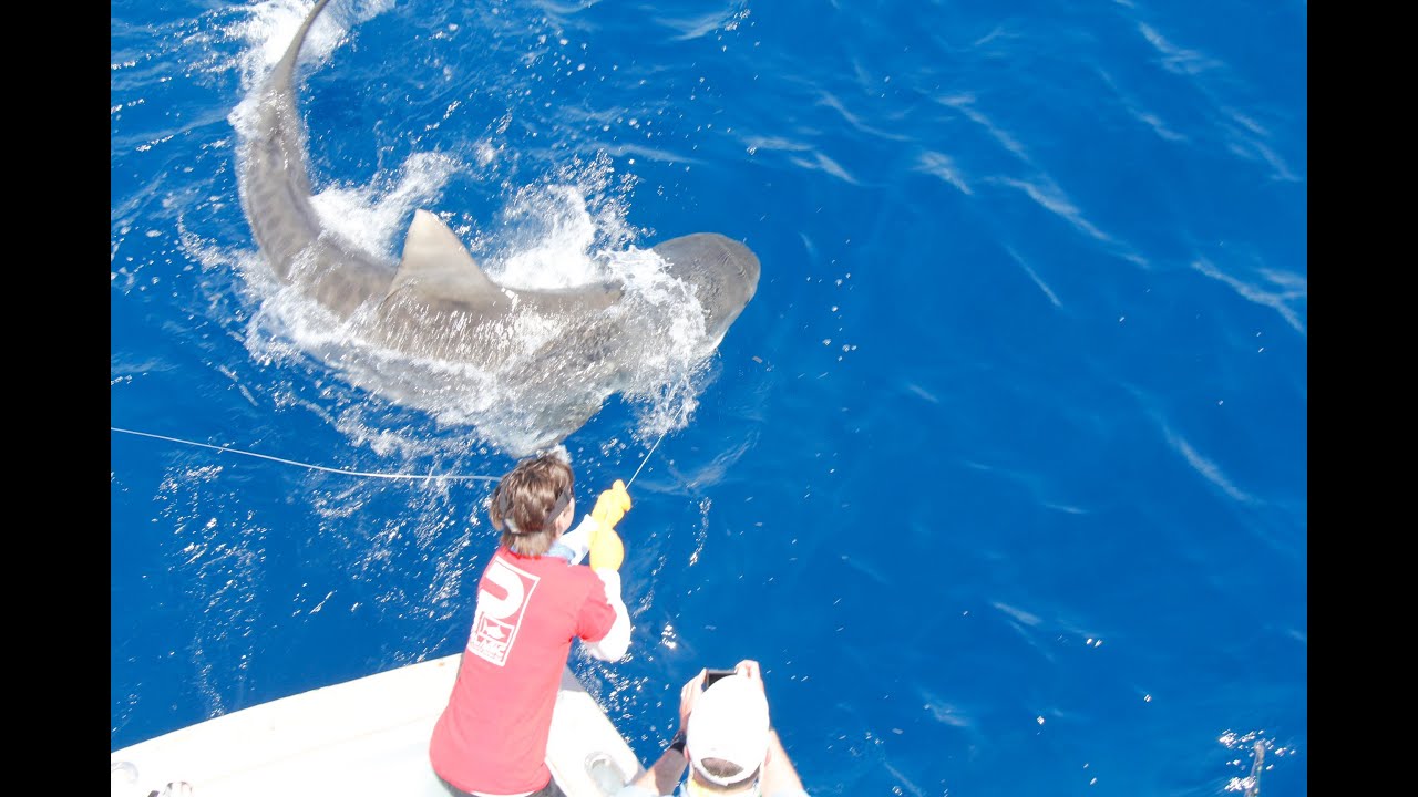 Islamorada Shark Fishing