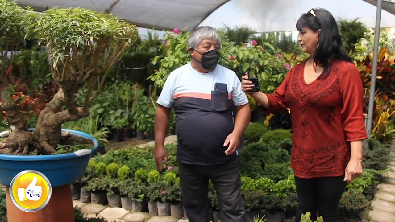 VISITA A VIVERO CRISTIAN EN NAYÓN PRIMERA PARTE