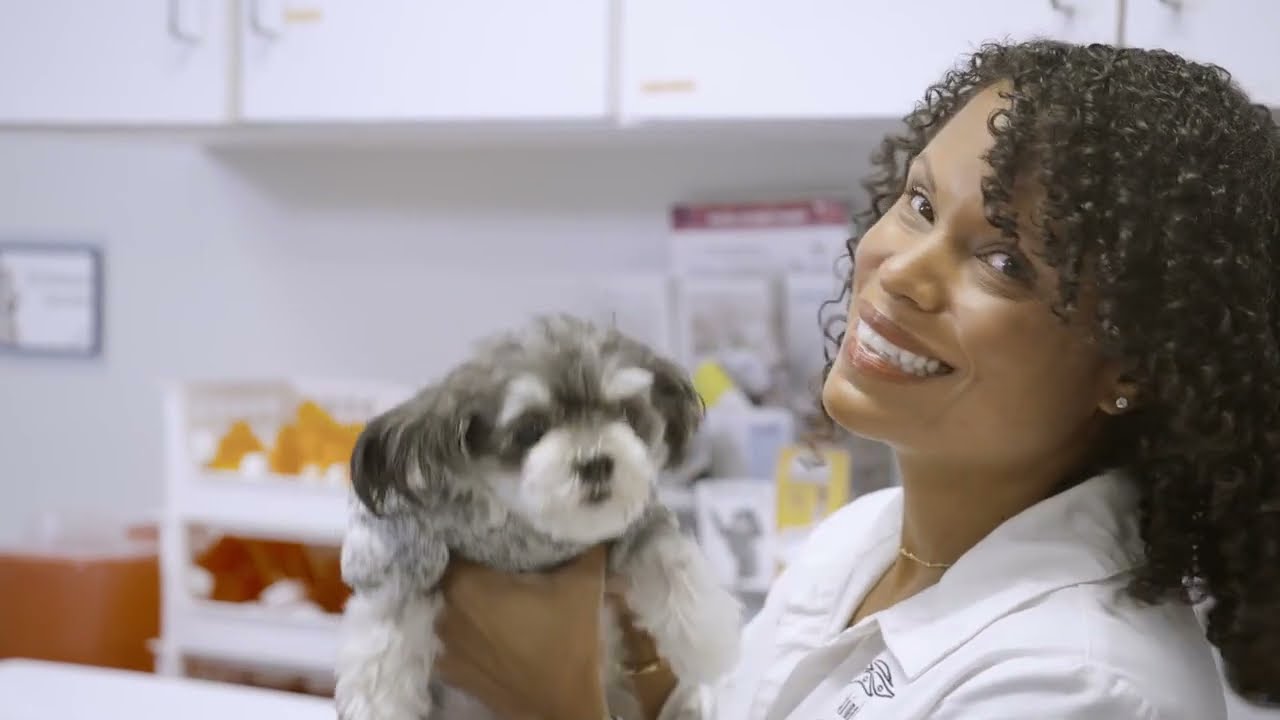 Flea Allergy in Pets with Dr. Joya Griffin
