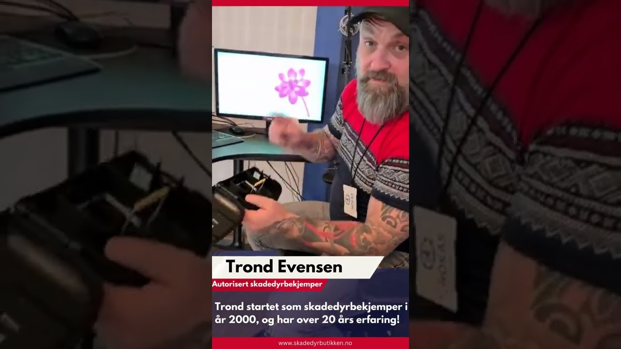 MUSEFELLE I ÅTESTASJON - PESTSTOP