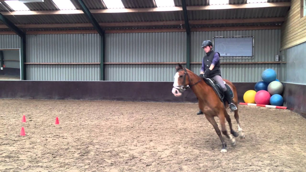 Centered Riding instructeursopleiding. Rijden met balletjes onder je zitbeenderen.