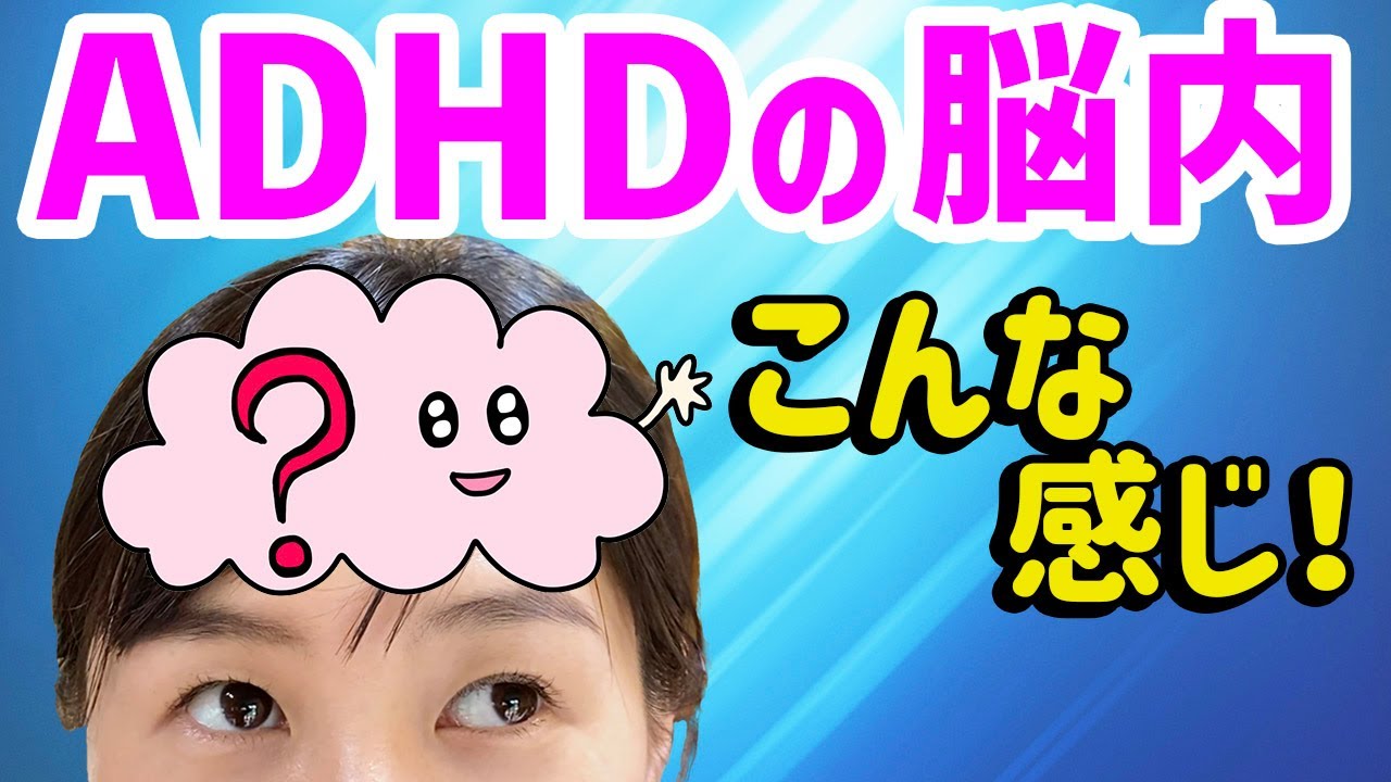 ADHDの脳内が面白すぎた♪頭の中を解説します！【アニメ】