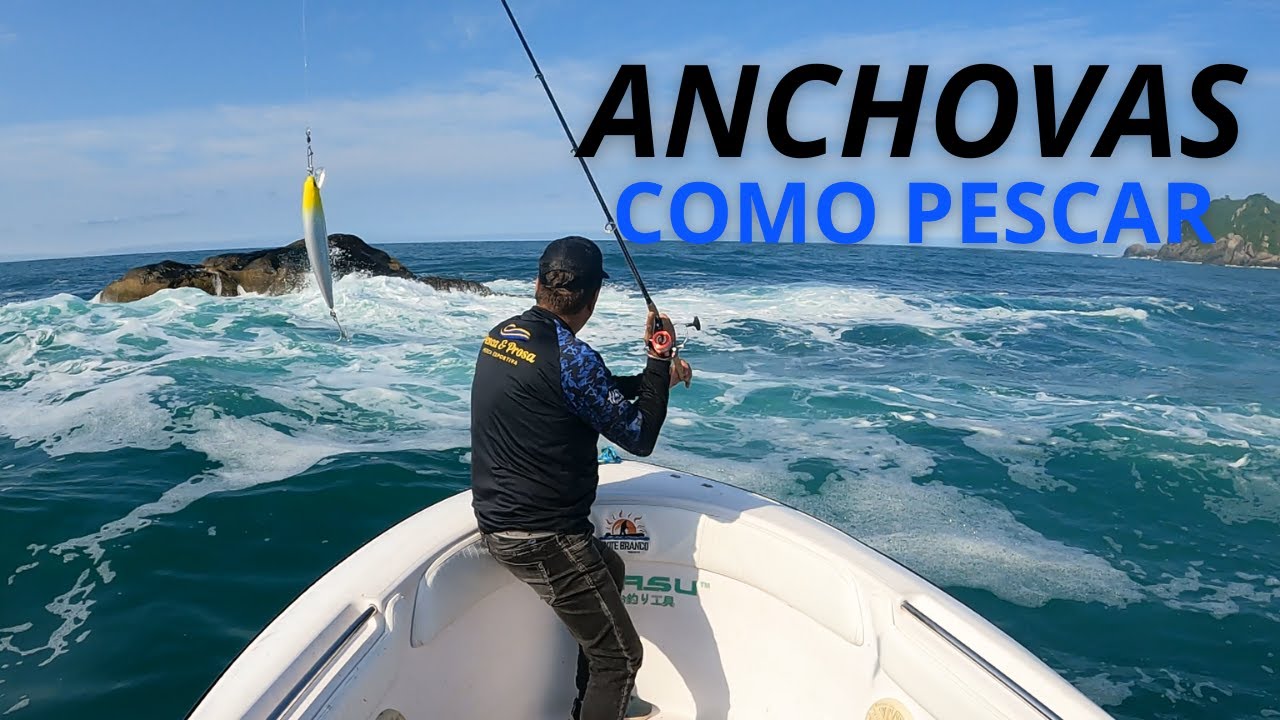 PESCARIA DE ANCHOVA - COMO PESCAR
