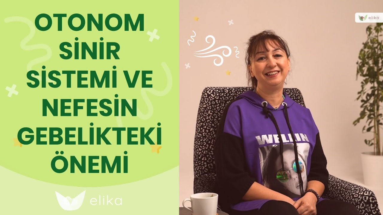 Otonom Sinir Sistemi - Elika Hamile