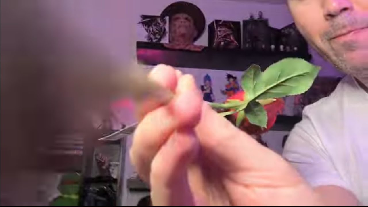 ASMR RÁPIDO Y AGRESIVO ( El más Casero y Relajante )