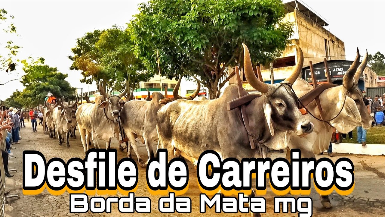 Desfile de Carreiros pelas ruas da cidade de (Borda da Mata mg)2025