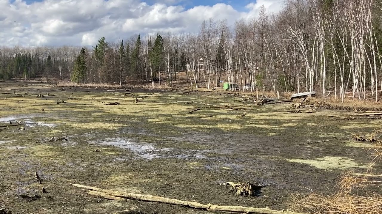 'The whole lake is gone:' Small dam fails in Alcona County