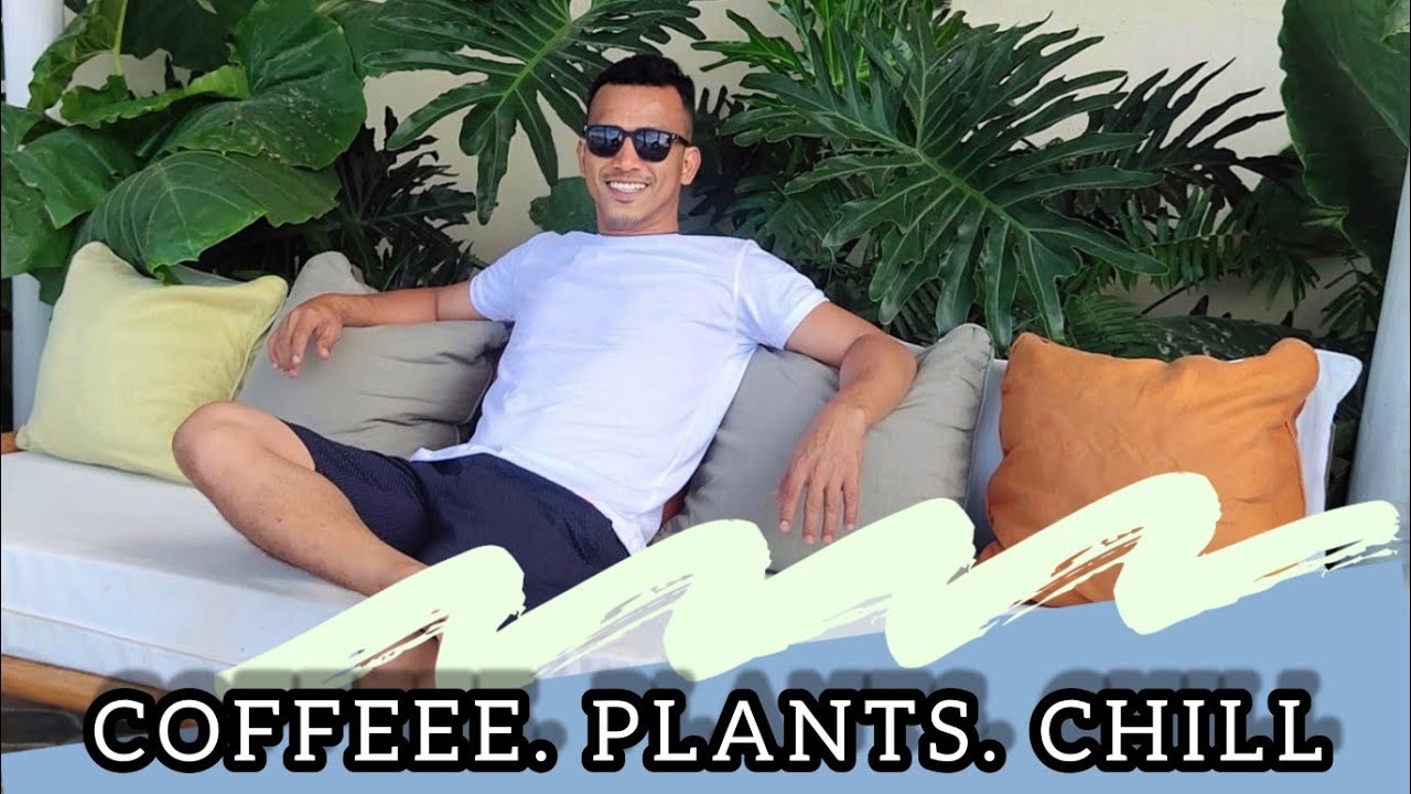 PLANT CAFE HOPPING TOUR FOR PLANTITOS AND PLANTITAS