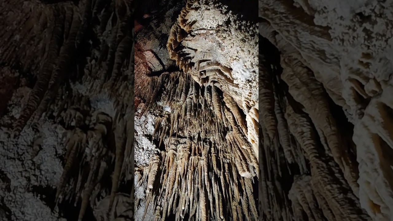 Stalactites and Stalagmites #cave #underground #shorts