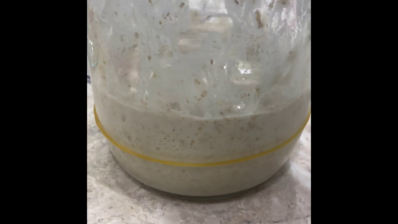 خطوات اعداد الخميرة الطبيعية وتجفيفها