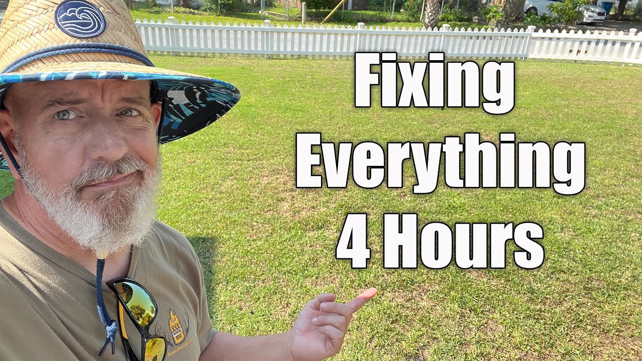 Fix Ugly Lawn FAST - Do it ALL in 1 Day