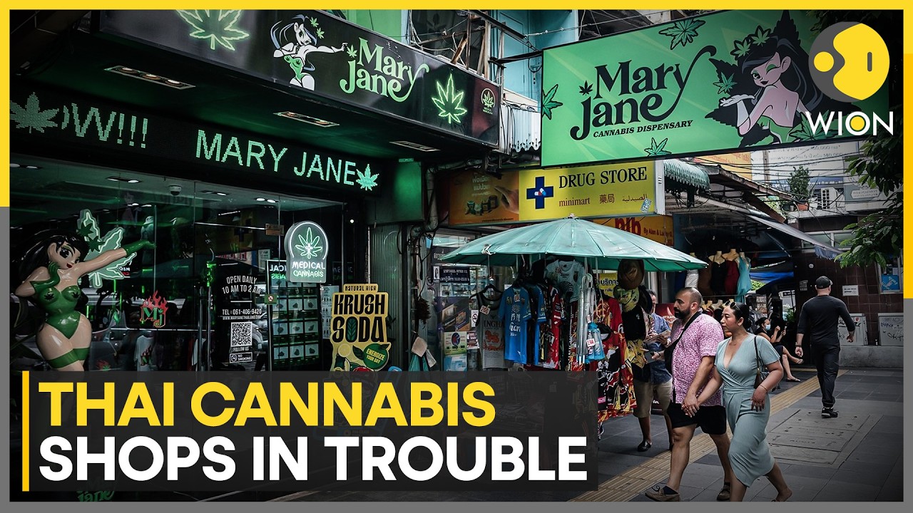 Thailand Cannabis Shops Face Mass Closures; New Laws Shrink Market | WION News