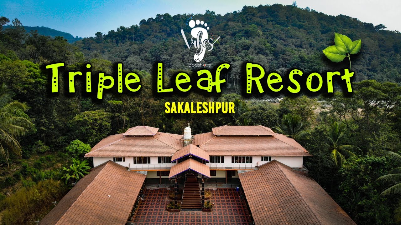 Triple Leaf Resort Sakaleshpur | abdshots | #sakaleshpurresort  | Vibes of abdshots |