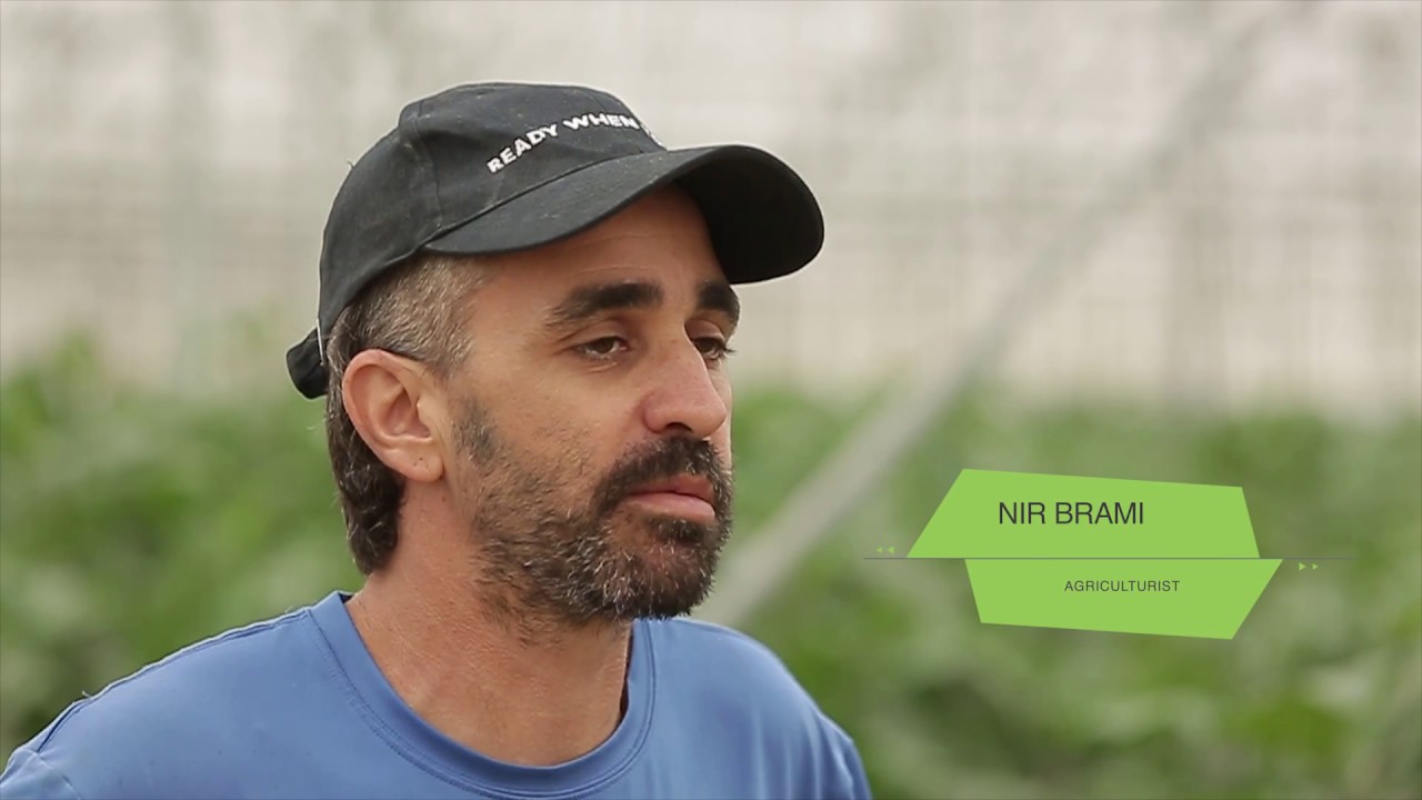 A DAY IN A LIFE OF AN ISRAELI FARMER
