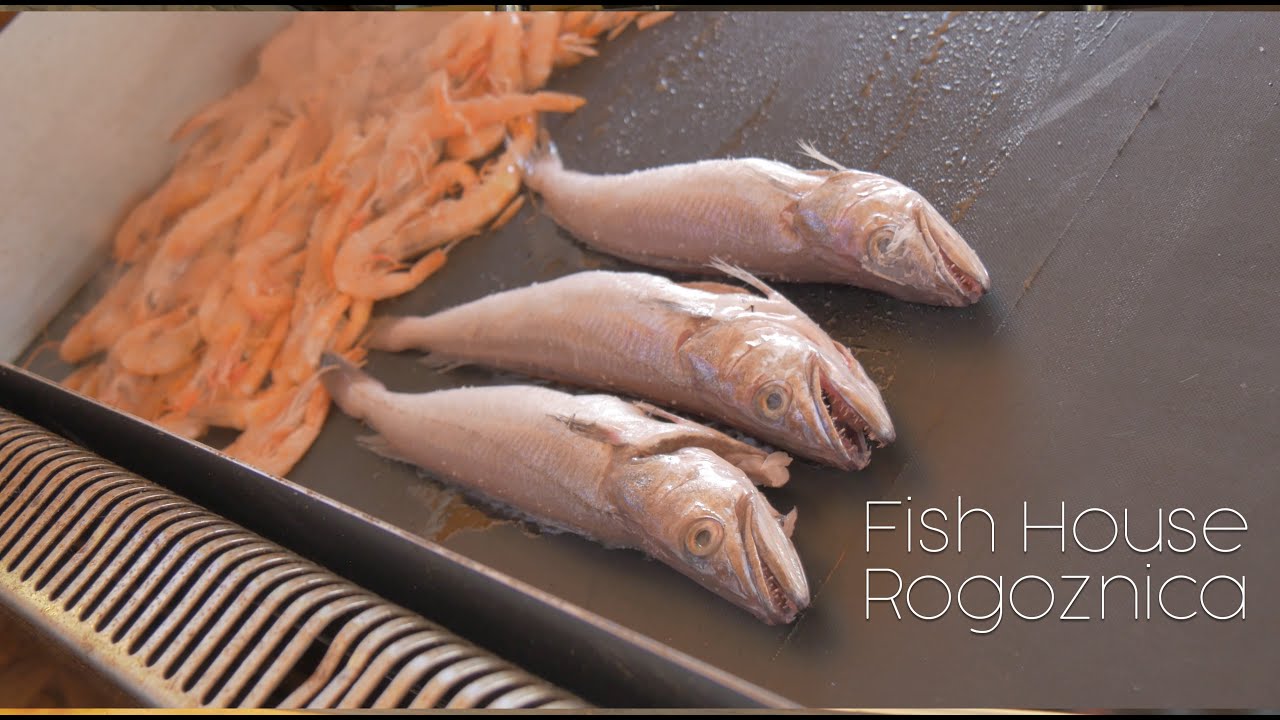 Fish House | Rogoznica | Chorvatsko