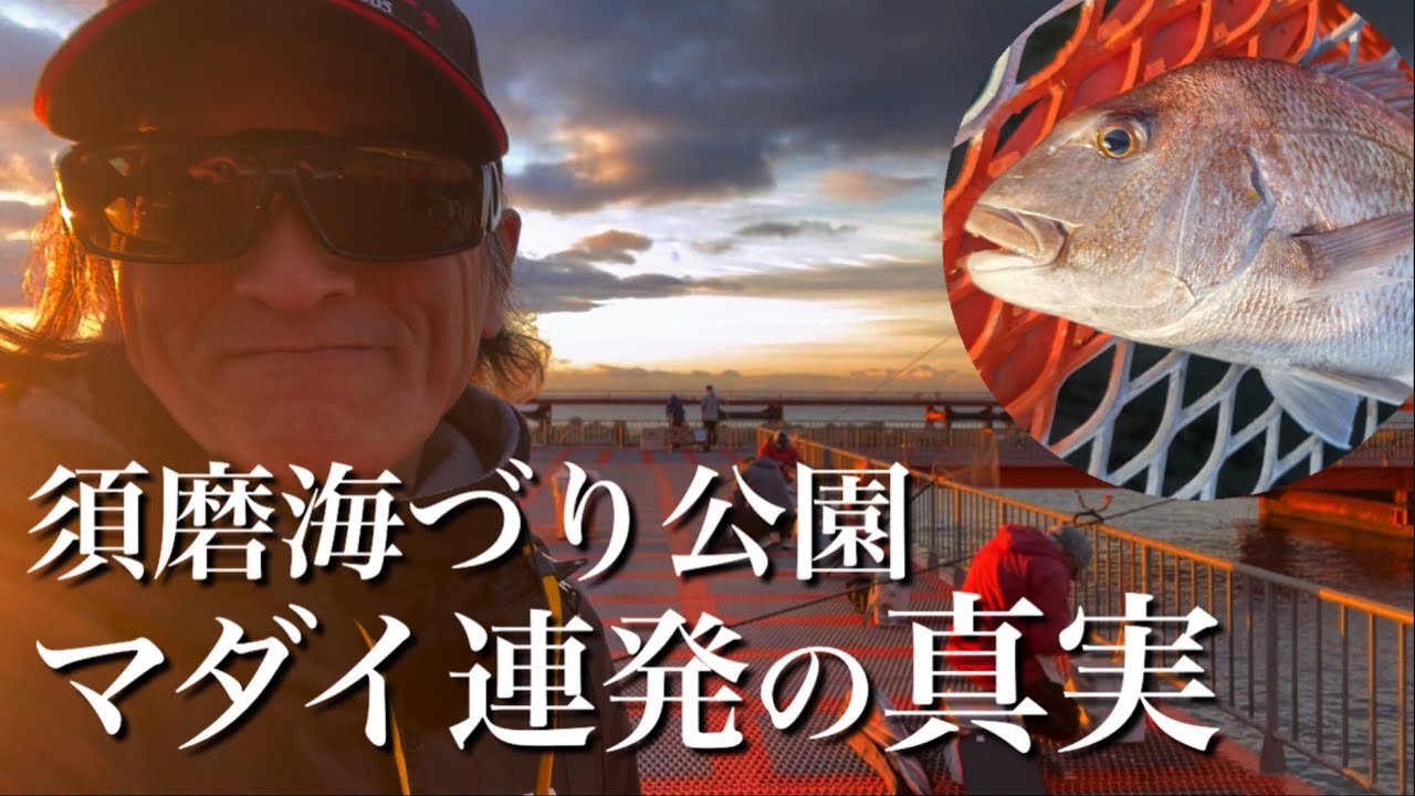釣り方は、まさかのアレ！須磨海づり公園のマダイ釣り