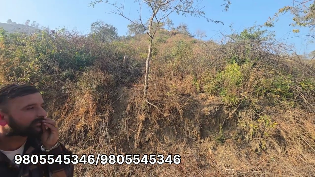 20 bigha land for sale