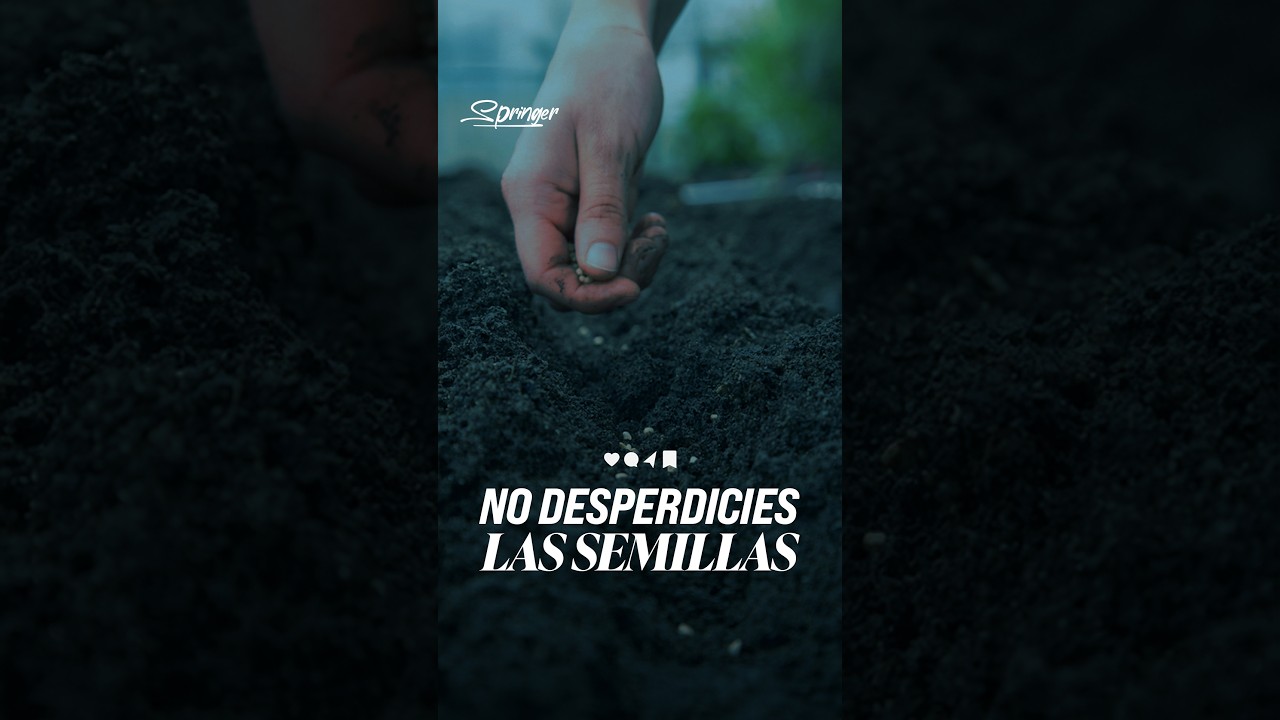 No desperdicies las semillas