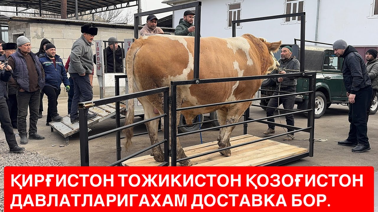 ХАЛОЛ УСТАЛАРНИНГ МЕХНАТЛАРИ БИЛАН ТАНИШИНГ. 