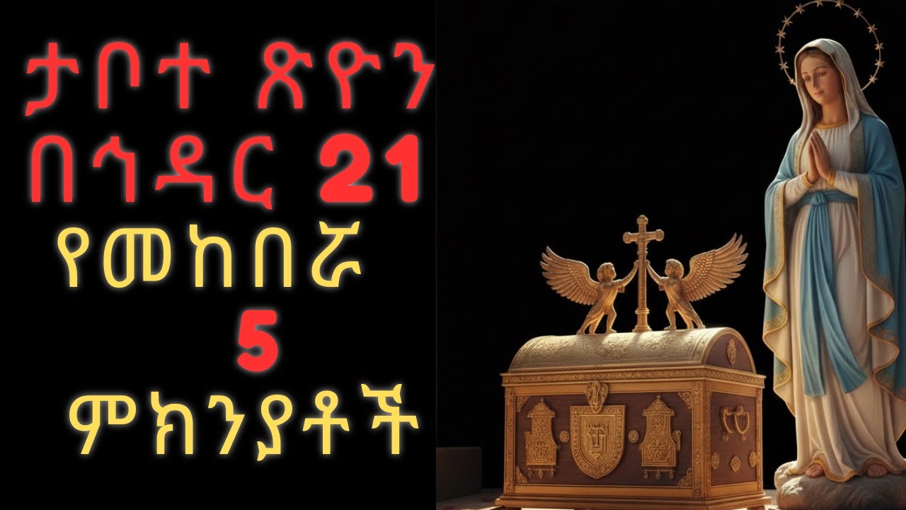 አማናዊቷ ጽዮን ማርያም! የህዳር ጽዮን በዓል ##አክሱምጽዮን #ታቦተጽዮን#ዳጎን#ኦርቶዶክስተዋህዶ#የአዲስኪዳንታቦት#ድንግልማርያም #ቀዳማዊምኒልክ#eotc