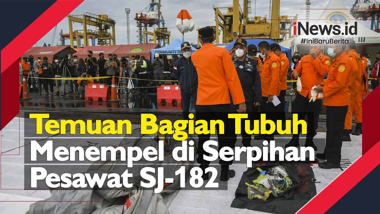 Temuan Bagian Tubuh Menempel di Serpihan Pesawat SJ-182