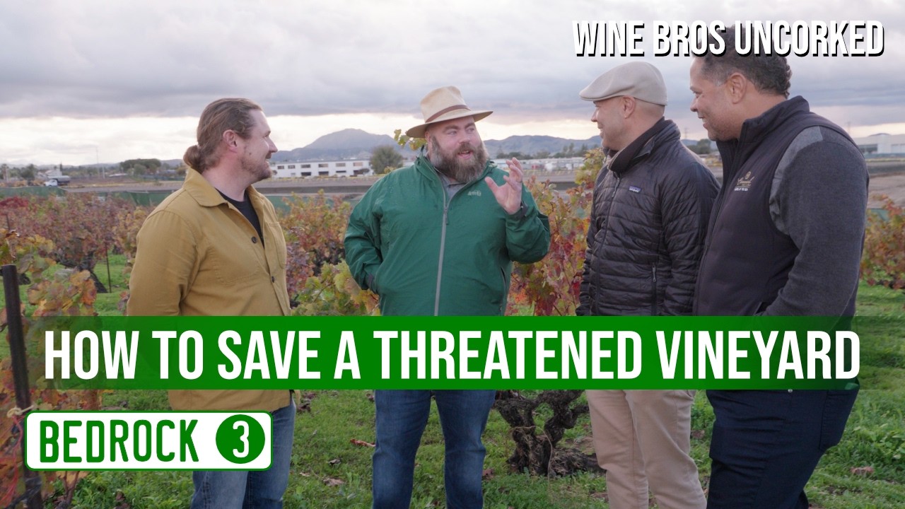 🚜 Chapter 3: Bedrock Wine Co • Ancient Vines, Sand Dunes & Power Lines • Wine Bros Uncorked