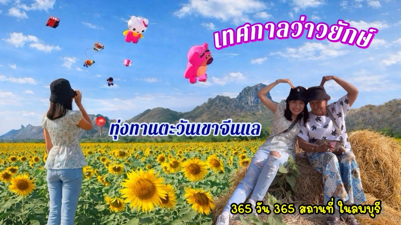 เทศกาลว่าวยักษ์, ทุ่งทานตะวันเขาจีนแล จ.ลพบุรี #Day52 | 365วัน 365สถานที่ในลพบุรี 