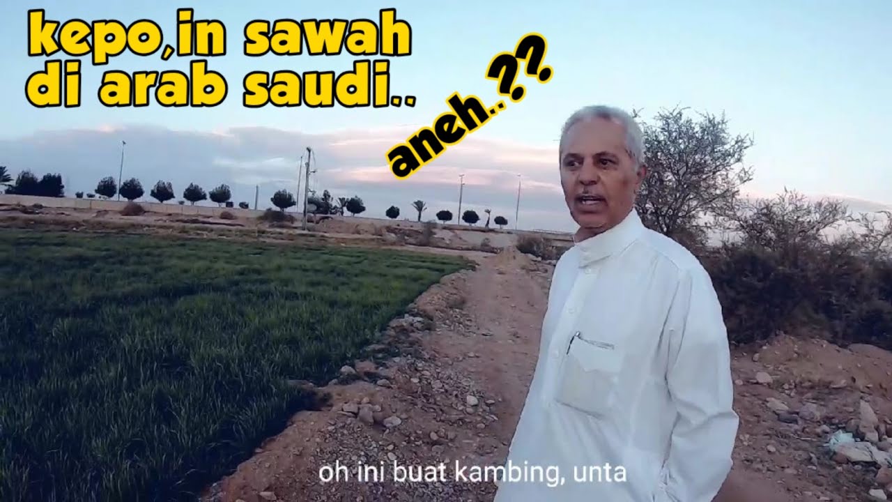 Adventure bareng babah ahmad yang mau ke indonesia di pelosok taif
