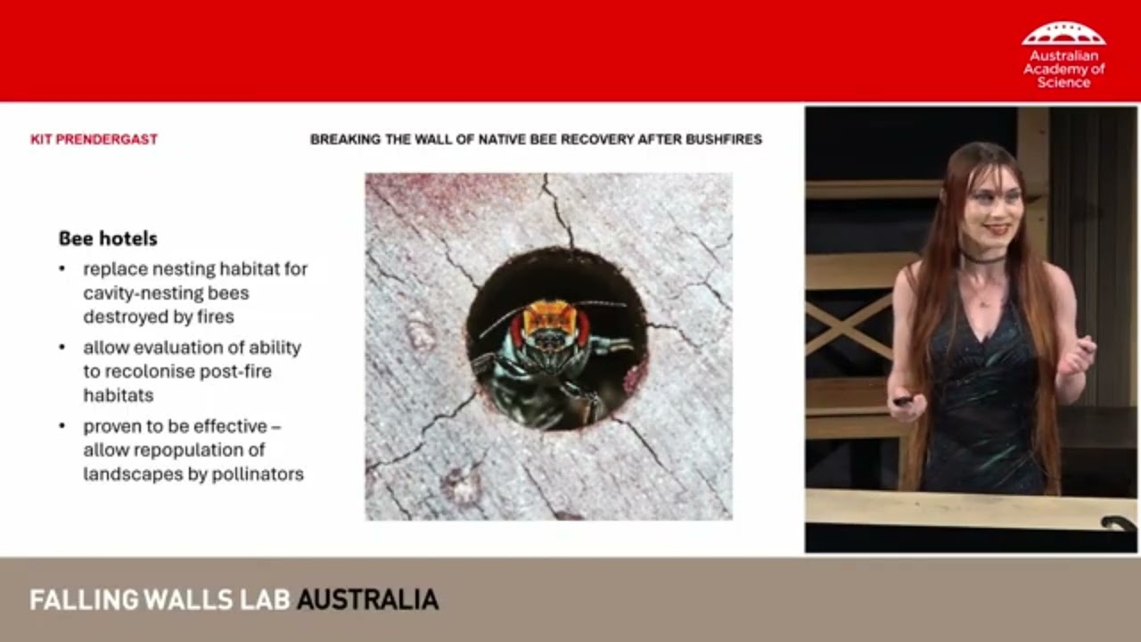 Falling Walls Lab 2025: Breaking the Wall of Native Bee Recovery After Bushfires