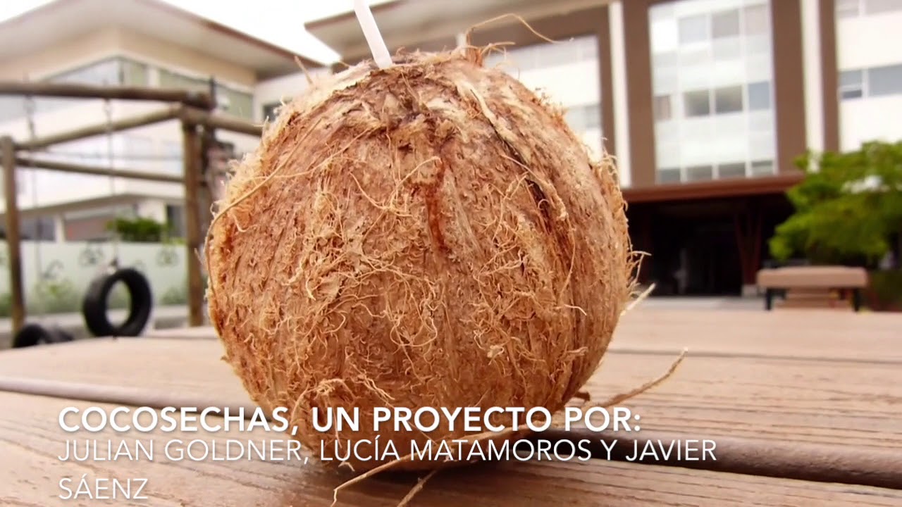 CONCAUSA 