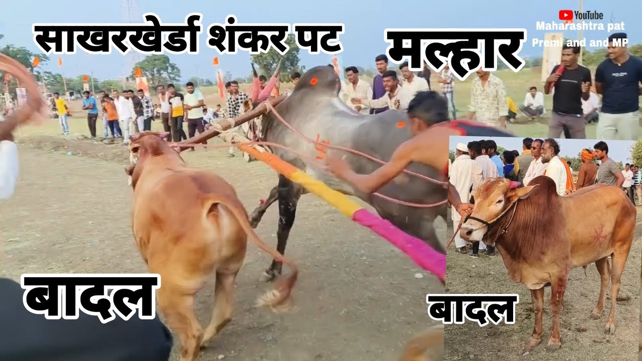 Malhar and Badal || Sakarkheda Shankar Pat | #shankarpat #maharashtrakesari #Malharbadal