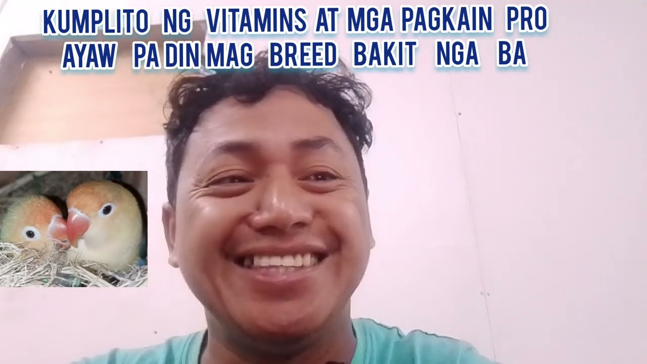 MGA DAHILAN BAKIT AYAW MAG BREED NG IBON NATIN 