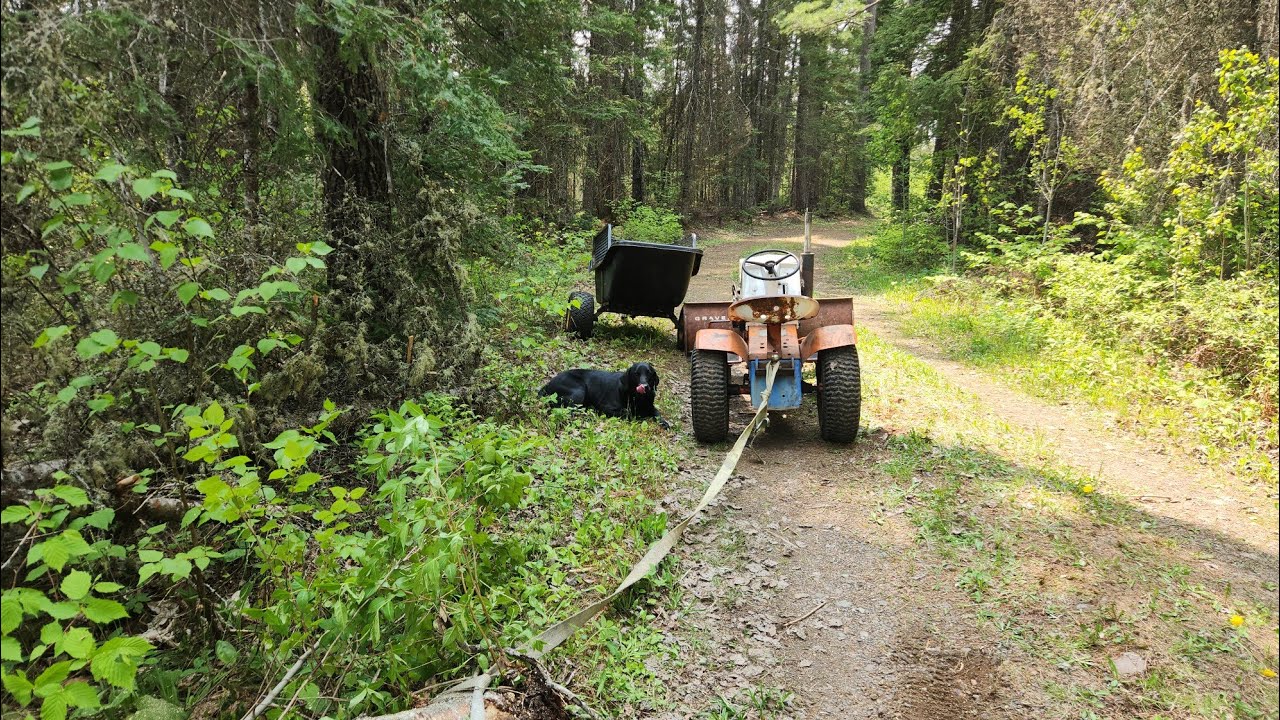 The Tent , Cutting some Wood