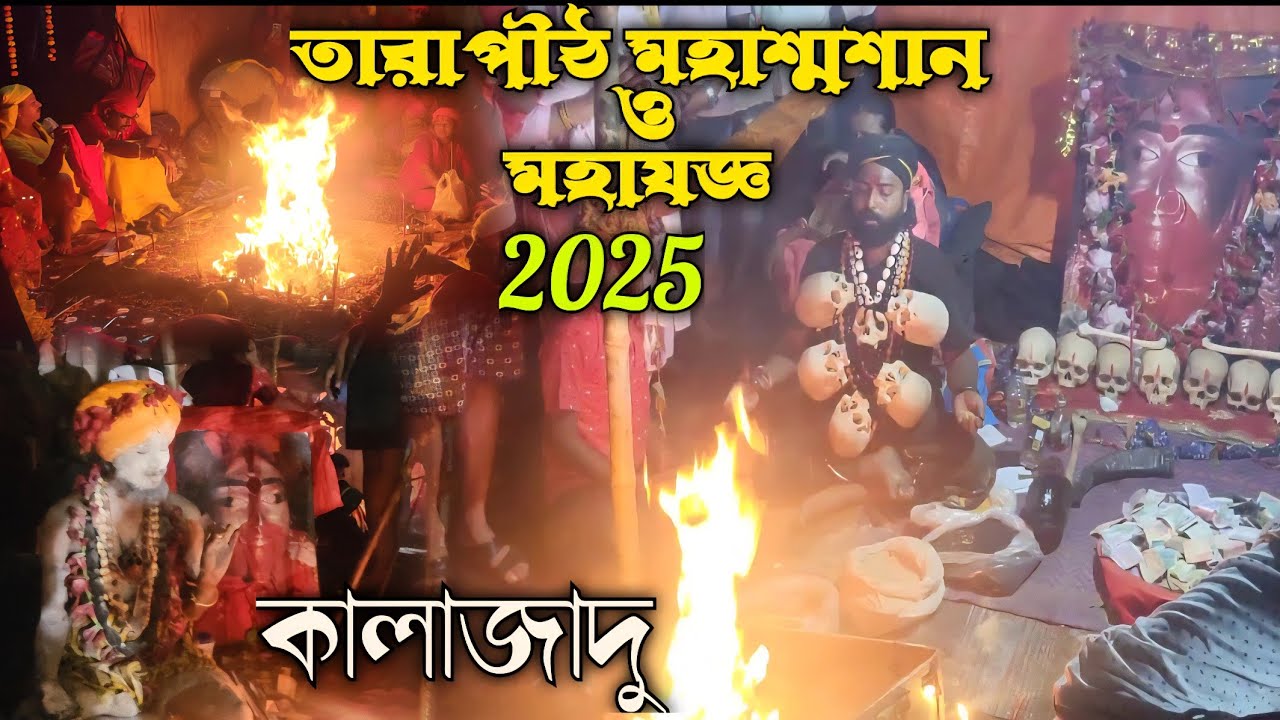 মহাযজ্ঞ তারাপীঠ Kaushiki Amavasya 2025 | Tarapith Mahasamshan #kalipuja​ #tarapith​