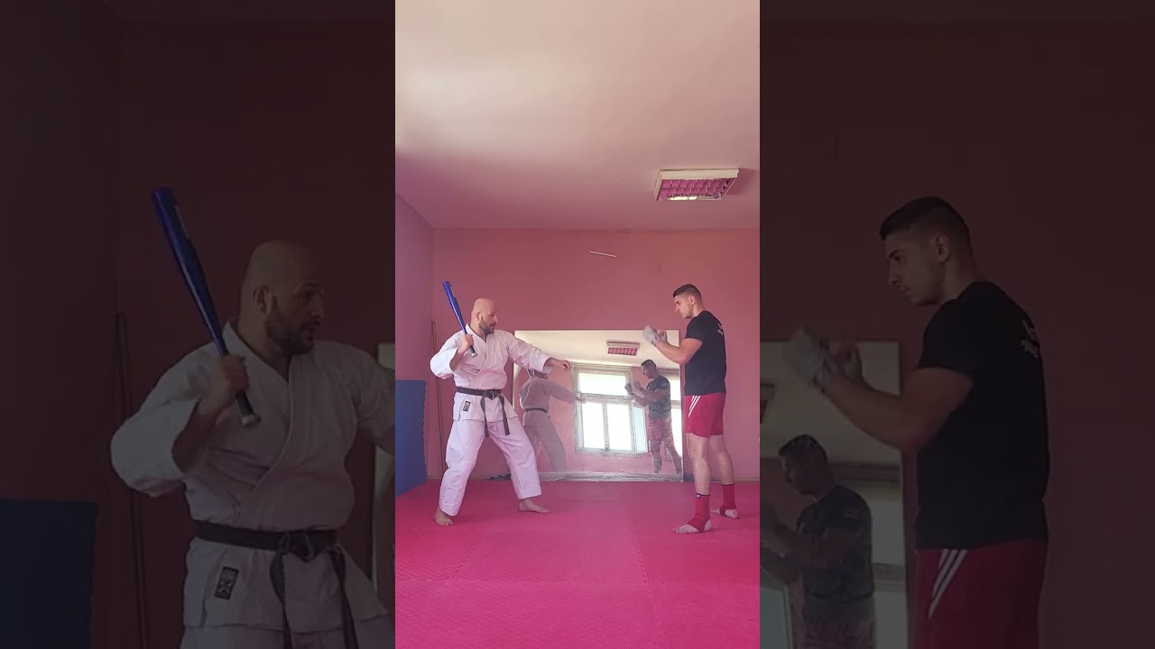 UPOTREBA BEJZBOL PALICE!!!