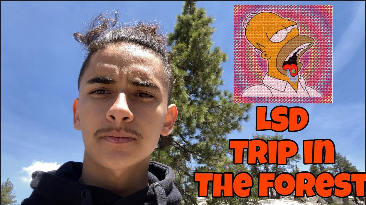 LSD Trip In The Forest 🌳 (Psychedelic Experience)