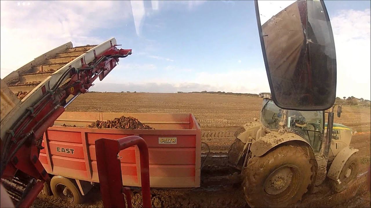 South East Veg. - Carrot harvesting Simon Cruiser & JD 6190R