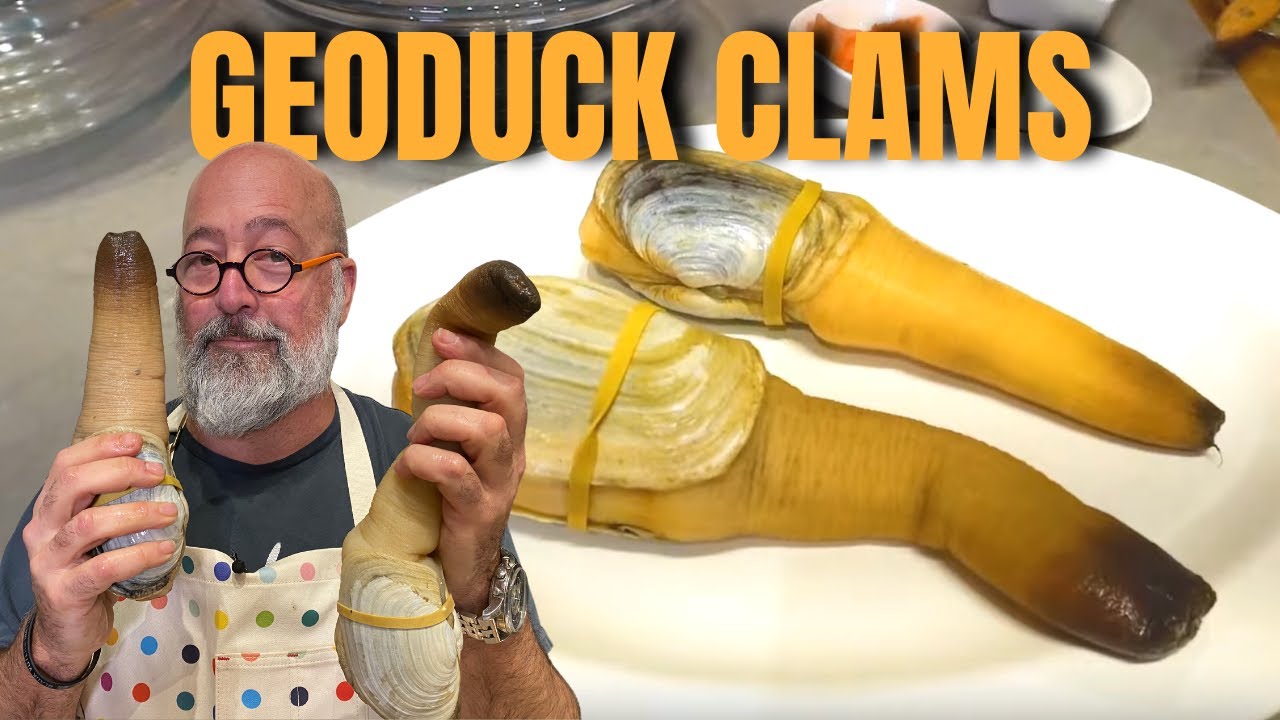 Geoduck 101: How to Clean a Geoduck Clam