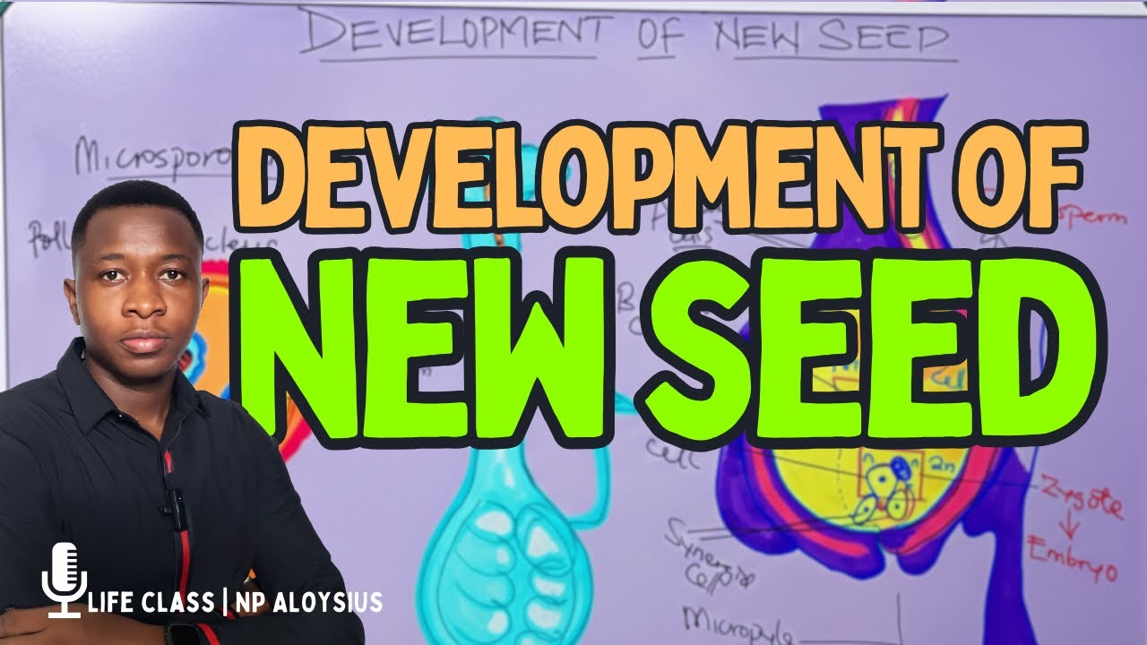 DEVELOPMENT OF NEW SEEDS| WAEC | NECO | JAMB
