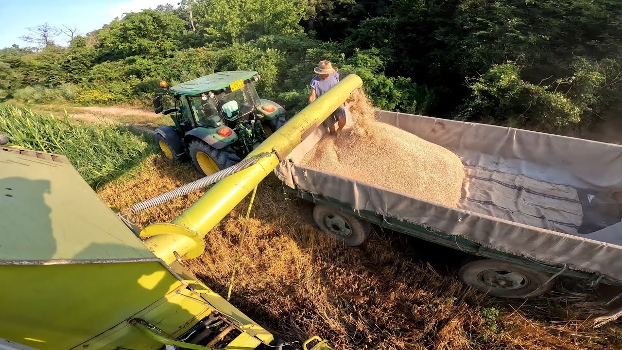 Tractor-vlog-John Deere 5100M-Am descarcat primul buncăr-La la recoltatul grâul din 2024 ep5