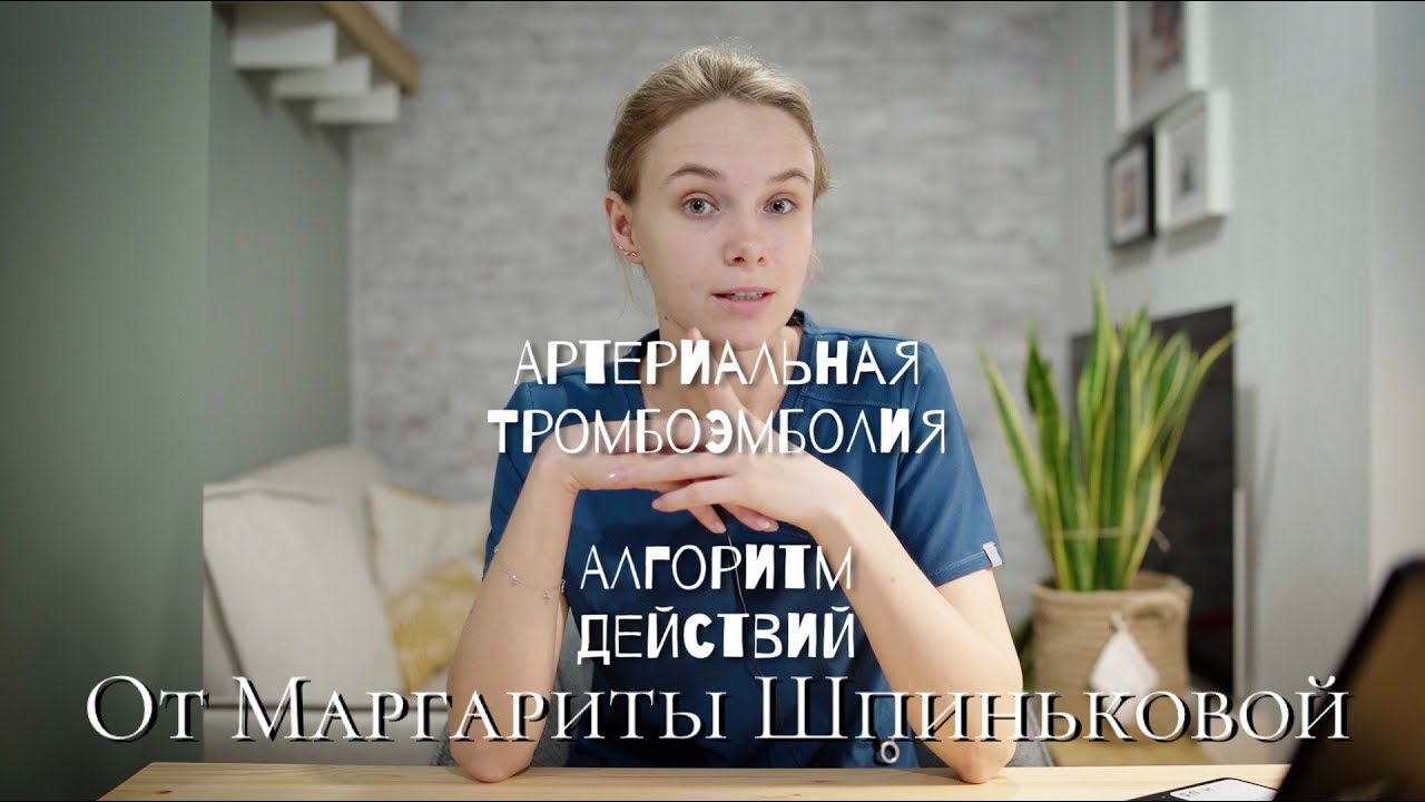 АТЭ у кошки. Как не пропустить на приеме у терапевта? Диагностика и алгоритм действий